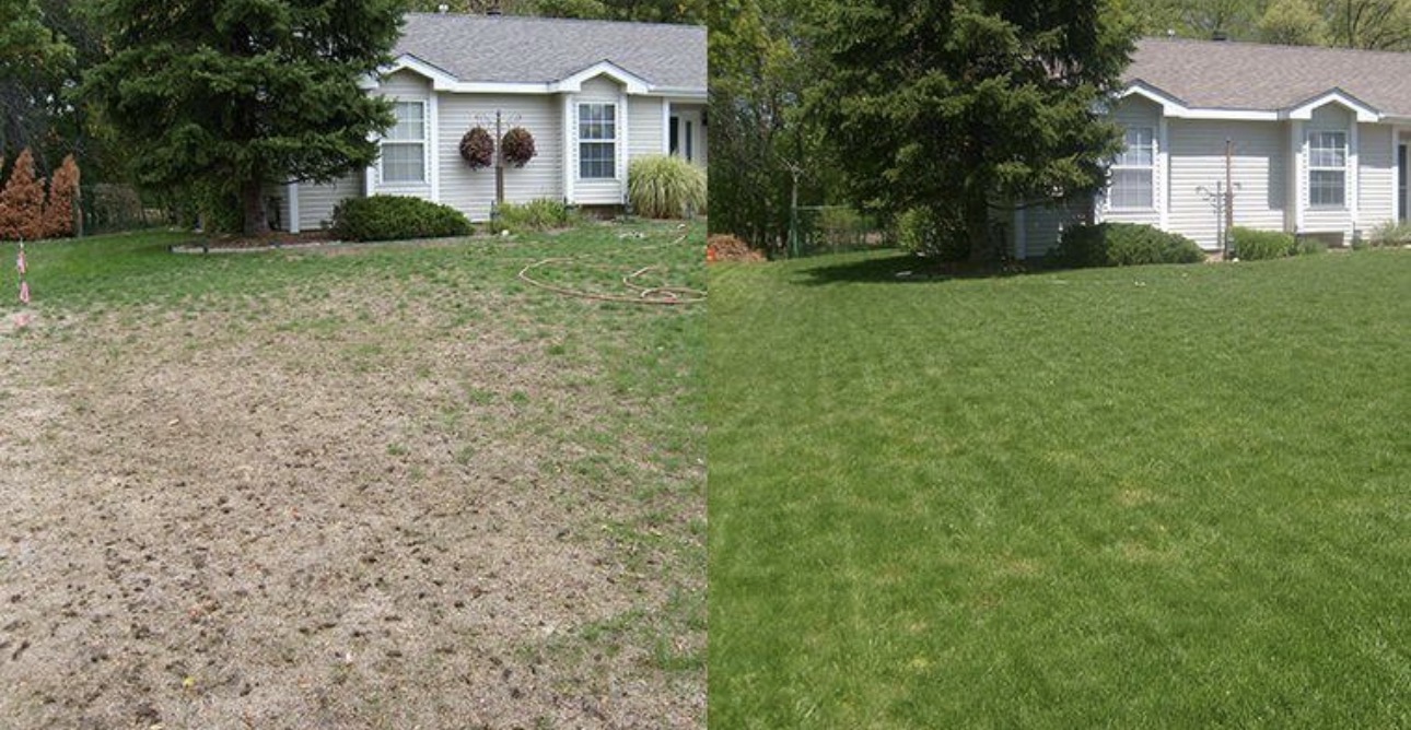 Core Aeration