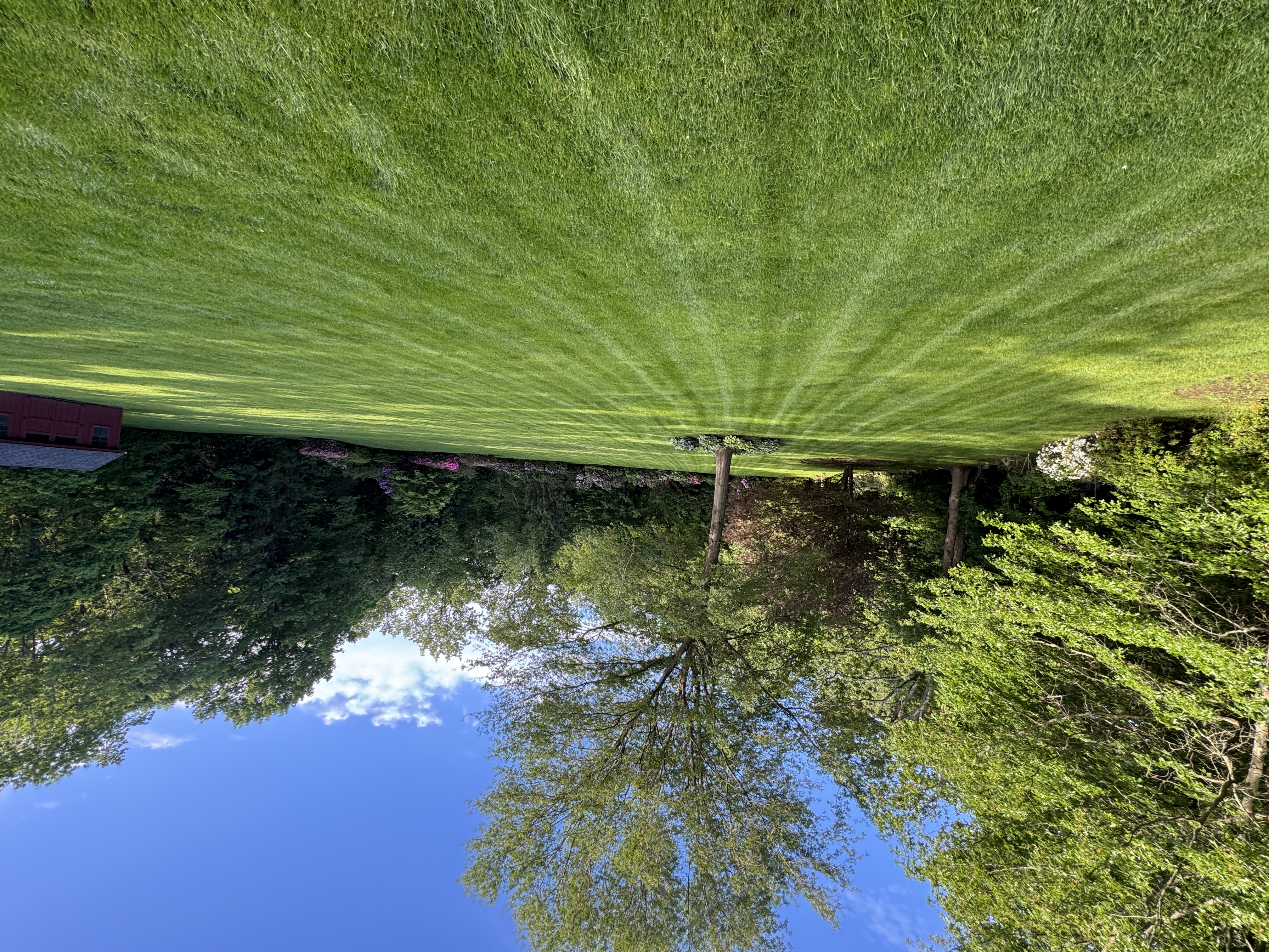 Lawn Mowing