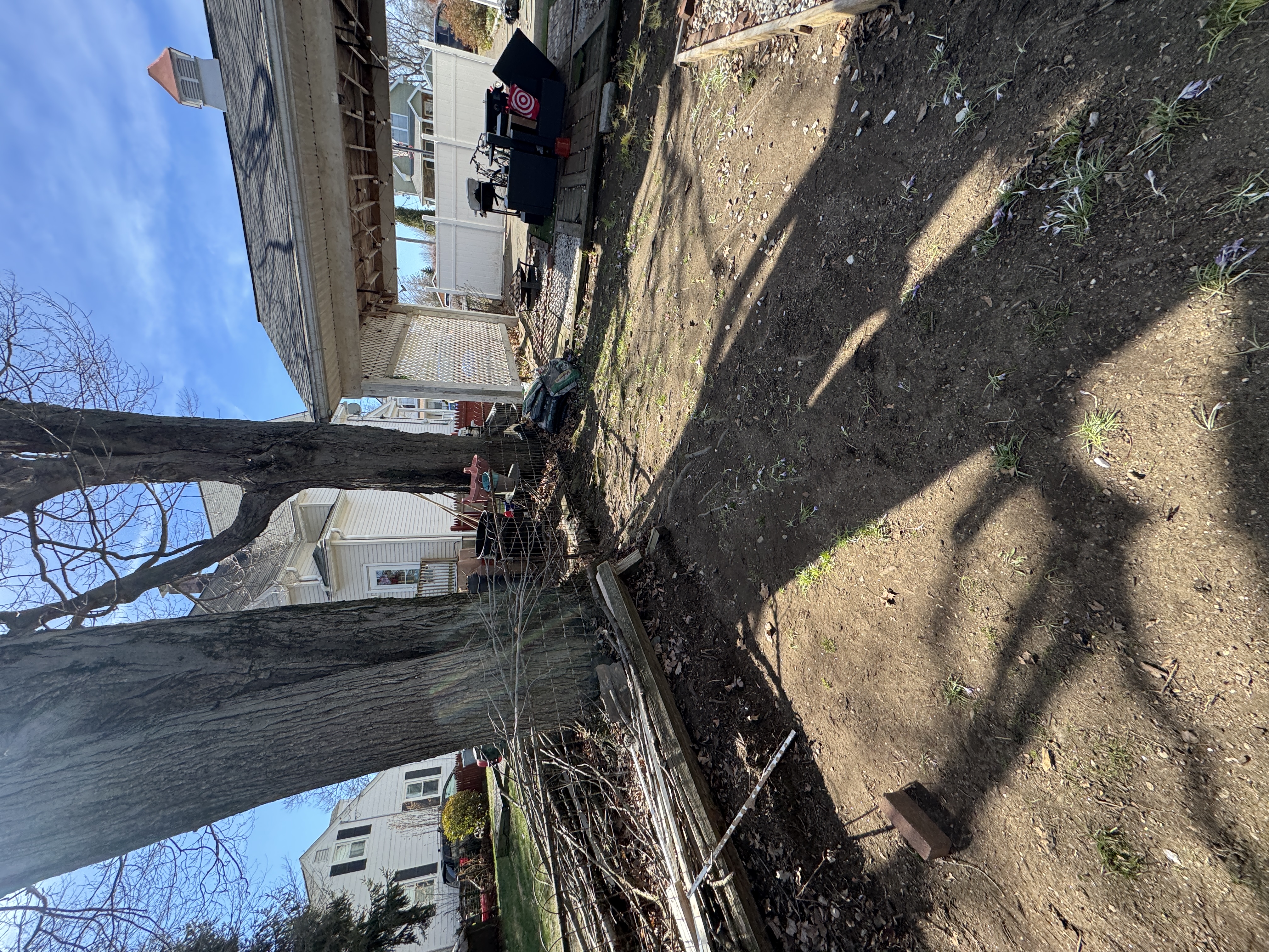 Spring Cleanup